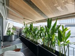 The Florentine (D19), Apartment #603085331